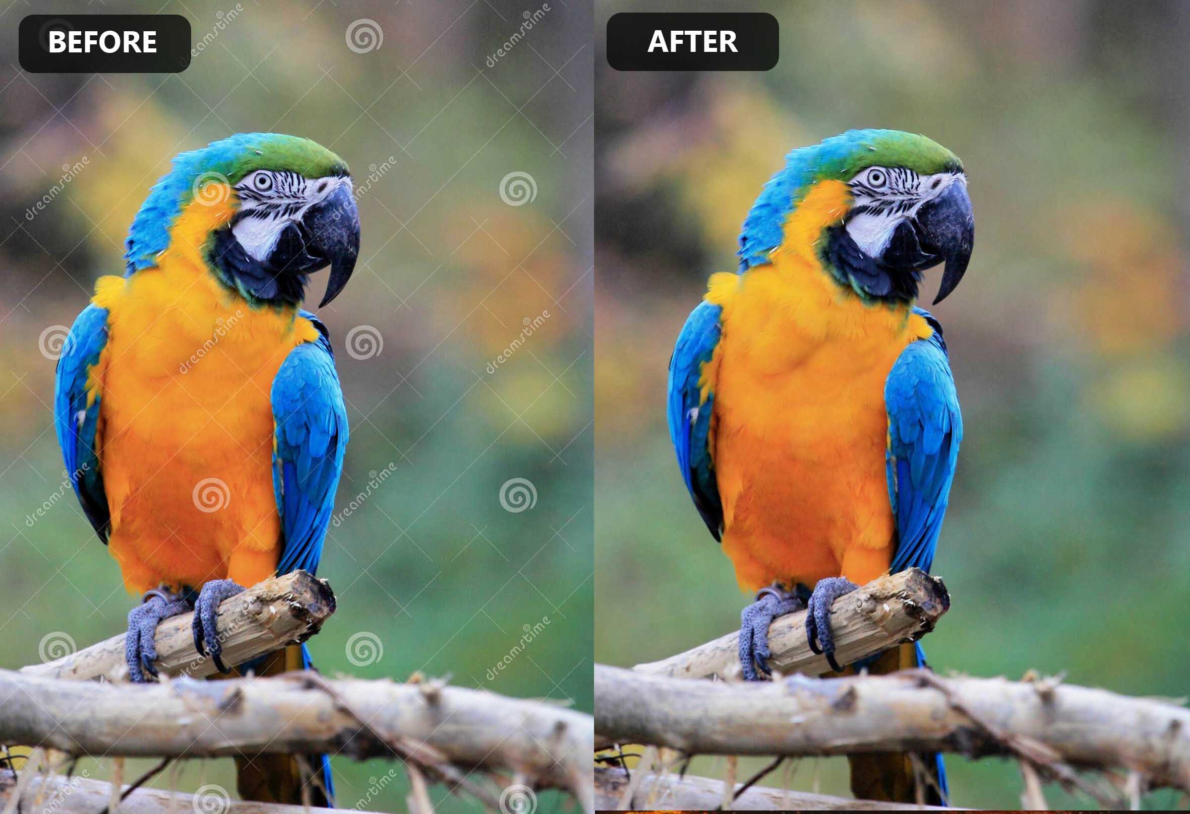 dreamstime watermark remover